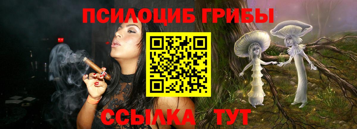 Псилоцибиновые грибы мухоморы Нижнеудинск